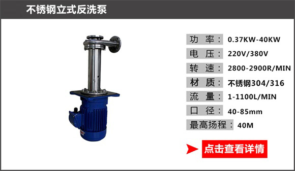 不銹鋼立式反洗泵