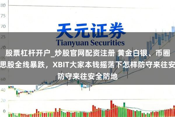 股票杠杆开户_炒股官网配资注册 黄金白银、币圈、好意思股全线暴跌，XBIT大家本钱摇荡下怎样防守来往安全防地
